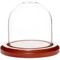 Plymor 3" x 3" Glass Display Dome Cloche (Walnut Base) - color: Walnut Base