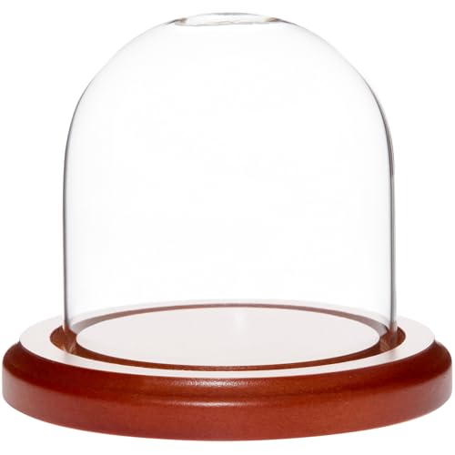 Plymor 3" x 3" Glass Display Dome Cloche (Walnut Base) - color: Walnut Base