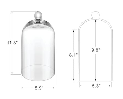Handmade Glass Cloche, Thick & Sturdy, Dia 6"xH 12", For Terrarium, Plants, Trinkets, Cakes, Figurines, LED Light String, Candle. Cloche Glass Dome, Bell Jar Display Case (1, 6"x12") - size: 6"x12"