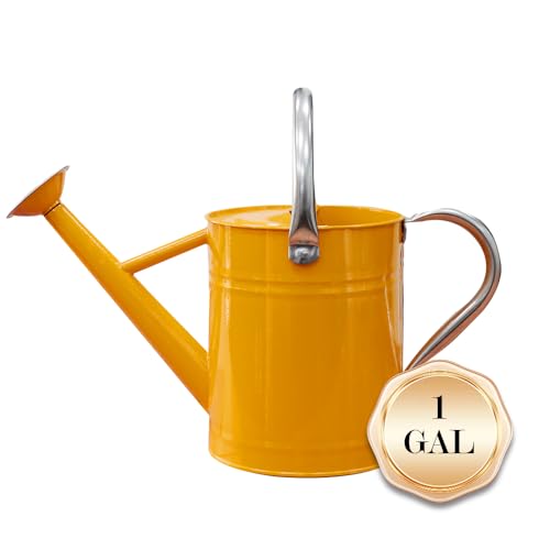 Metal Watering Can, 1 Gallon for Outdoor Garden Plants,Yellow - color: Yellow