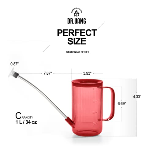 Small Watering Can Indoor Plants with Long Spout (1L, Red) - color: Red