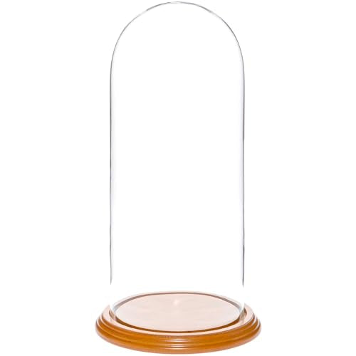 Plymor 5.5" x 13" Glass Display Dome Cloche (Oak Veneer Base) - color: Oak Veneer Base