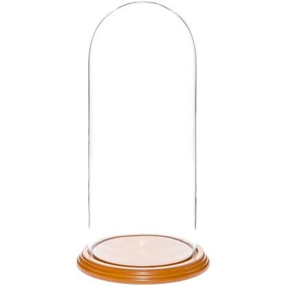 Plymor 5.5" x 13" Glass Display Dome Cloche (Oak Veneer Base) - color: Oak Veneer Base