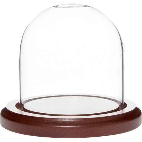 Plymor 3 inch x 3 inch Glass Display Dome Cloche (Dark Wood Base) - color: Dark Wood Base