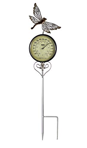 Poolmaster 54581 Outdoor Decoration Garden Stake, Dragonfly, Multi - style: Dragonfly
