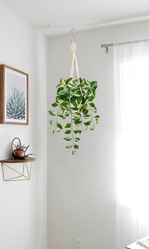 Briful Macrame Hanging Plant with Fake Pothos in White Pot, White N' Joy Faux Hanging Decor for Home Ceiling, Farmhouse Kitchen