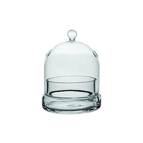 Syndicate Sales Inc 3775-06-09 4-3/4" X 6" Terrarium Cloche
