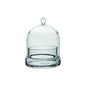 Syndicate Sales Inc 3775-06-09 4-3/4" X 6" Terrarium Cloche