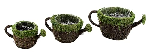 SuperMoss (55261) 9" Deco Watering Can Planter Basket, Large - size: Large