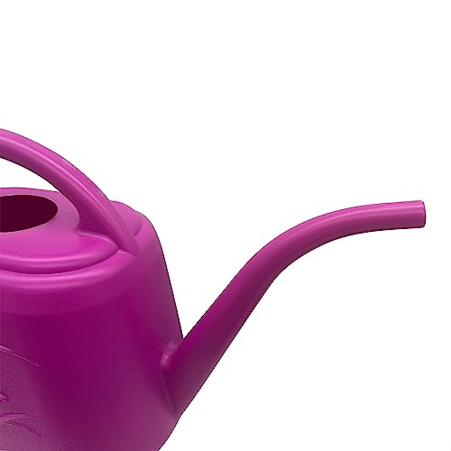 Plant Watering Can - Plastic for Indoor and Outdoor Home Plant - 1/2 Gallon - Rose Red - color: Rose Red
