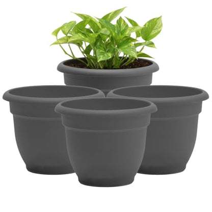 Bloem Ariana 6" Plastic Self-Watering Planter, Charcoal, 4-Pack - color: Charcoal, size: 6" (Pack of 4)