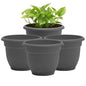 Bloem Ariana 10" Plastic Self-Watering Planter, Charcoal, 4-Pack - color: Charcoal, size: 10" (Pack of 4)