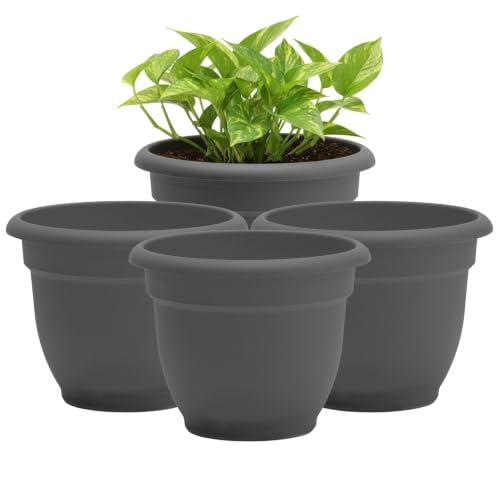 Bloem Ariana 10" Plastic Self-Watering Planter, Charcoal, 4-Pack - color: Charcoal, size: 10" (Pack of 4)