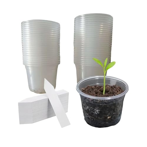 50-Pack 3" Clear Nursery Pots, Clear Nursery Pots with Drainage, Seed Starter Pots, Plants for Flowers Succulents,Vegetables, Indoor Outdoor (with 50 Plant Labels) - size: 3in