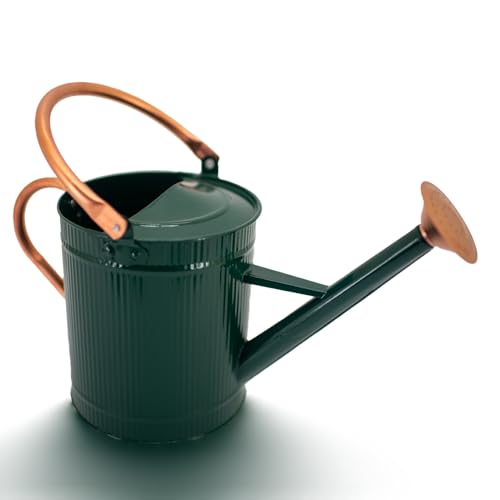 1 Gallon Dark Green Metal Watering Can, Removable Spout - color: Dark Green, size: 1 Gallon