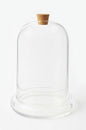 Handblown 10" Glass Terrarium with Opening for Air Flow & Cork Stopper Cloche Style Glass Dome Vivarium Display Case (Large) - size: Large