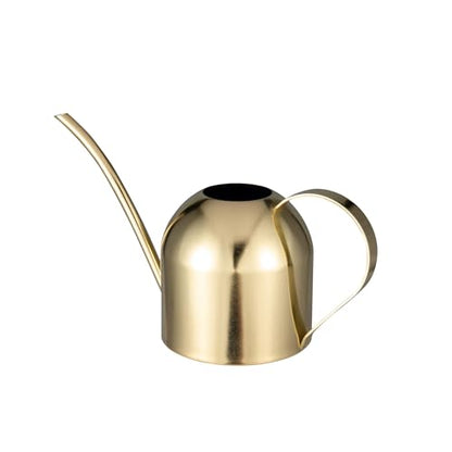 IMEEA 30oz Indoor Plant Watering Can Stainless Steel Long Spout, Gold - color: 30oz (1l) - Gold