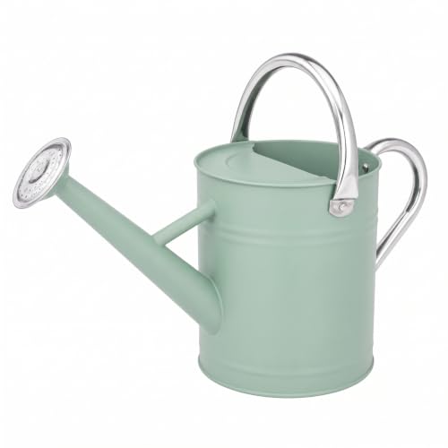 1 Gallon Metal Watering Can for Indoor Outdoor Plants, Cream Green - color: Cream Green