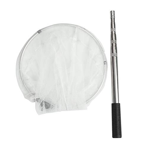 RESTCLOUD Insect and Butterfly Net with 12" Ring, 24" Net Depth, Handle Extends to 59 Inches - size: 12" Ring, 38" Handle