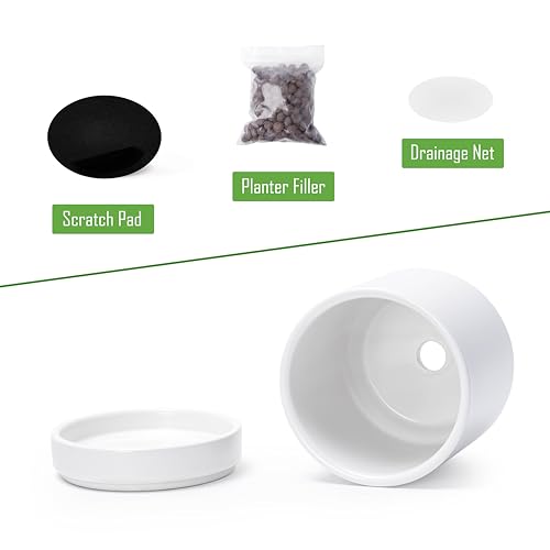 D'vine Dev 2-Pack Ceramic Pots with Saucers, White, 4.7 in, 94-V-B-1 - color: White, size: 4.7 Inch