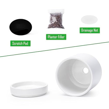 D'vine Dev 2-Pack Ceramic Pots with Saucers, White, 4.7 in, 94-V-B-1 - color: White, size: 4.7 Inch