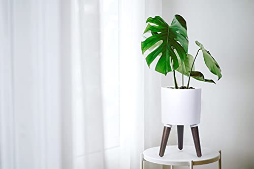 D'vine Dev 8 Inch Planter Pot with Wood Stand, White, 88-O-A-1 - color: Matte White, size: Small