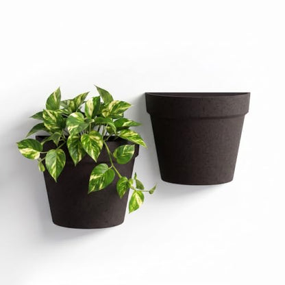 Asnext 2 Pack Indoor Wall Planter, 7.5 Inch Wall Planter Pot, Iron - color: Iron
