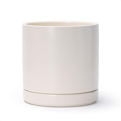 D'vine Dev 8.2 Inch Ceramic Planter Pot, Oatmeal, 94-O-D-8 - color: Oatmeal, size: Medium