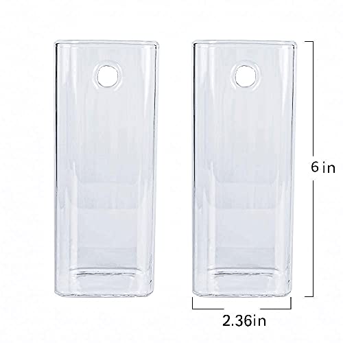 Square Glass Propagation Vase 2 Pack, Wall Hanging Hydroponic Planter - color: Square Tube