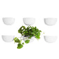 Make Good Virgo Wall Planters (Wide, Set of 6) - Easy to Water and Install - Lightweight - Design Your Own Vertical Garden - Melamine Plastic