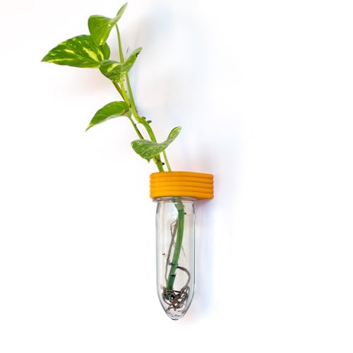 Propagation Station Wall Hanging Terrarium Upcycled 3D Printed Eco Friendly Unique Plant Lover Gift (Mango) - color: Mango