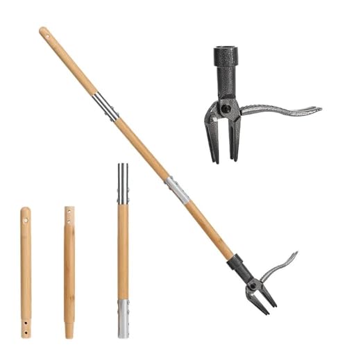 Stand Up Weed Puller Tool - Long Handle Design | Bamboo Handle with 4-Claw Steel Head for Easy Use, Ergonomic Weeding Tool for Lawn, Garden & Yard Care