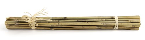 SuperMoss (12382) Bamboo Sticks, Natural, 18 (25 pack)" - color: Natural, size: 18" (25 pack)