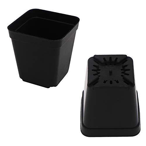 Square Nursery Pots 100 Pack 2.7 Inch Plastic Plant Pot with Drainage Holes Sturdy & Reusable Starter Container for Seedlings, Succulents & Garden Plants, Black