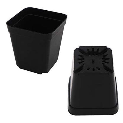 Square Nursery Pots 100 Pack 2.7 Inch Plastic Plant Pot with Drainage Holes Sturdy & Reusable Starter Container for Seedlings, Succulents & Garden Plants, Black