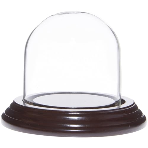 Plymor 2.5" x 2.5" Small Glass Display Dome Cloche (Dark Mahogany Veneer Base) - color: Dark Mahogany Veneer Base