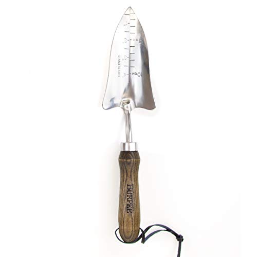 Burpee 13" Stainless Steel Transplanter | Durable Long Lasting Garden Tool | Leather Wrist Strap 5" Handle, 10 Year Warranty - color: Walnut, style: Transplanter