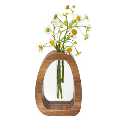 Mini Wood Vase Terrarium, Glass Tube Plant Propagation Station, MCM Decor - size: Small Single Tube