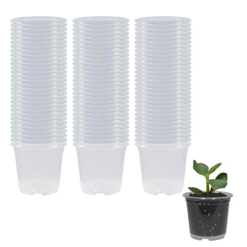 90 Pack 3 Inch Clear Nursery Pots with Drainage Plant Pots for Plants Transparent Potting Containers for Plants Seeding Starter Pot(Clear, 3 Inch 90 Pcs) - color: Clear, size: 3 Inch 90 Pcs