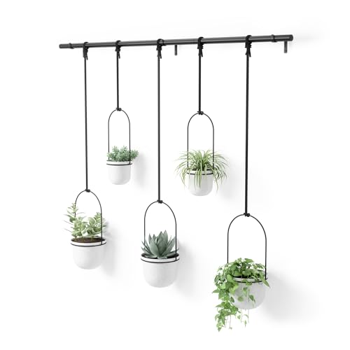 Umbra Triflora Hanging Planter, Window Herb Garden, Set of 5, White/Black - color: White/Black, size: Set of 5, style: Set of 5