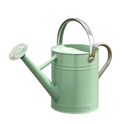Metal Watering Can for Outdoor Plants, Watering Can 1 Gallon,Cream Green - color: Cream Green