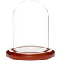 Plymor 3" x 4" Glass Display Dome Cloche (Walnut MDF Base) - color: Walnut Mdf Base