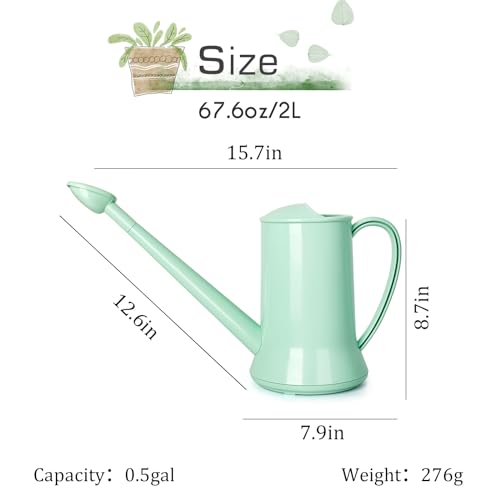 XXXFLOWER Small Watering Can, 67oz (1/2 Gallon) Indoor Houseplants Green - size: Green-2L