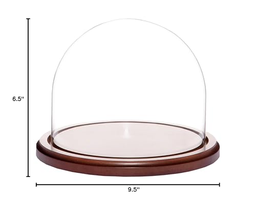 Plymor 8" x 6.5" Glass Display Dome Cloche (Walnut MDF Base) - color: Walnut MDF base