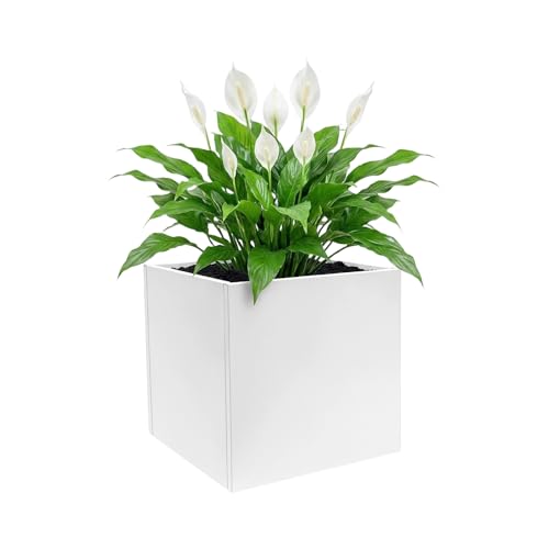 Square Metal Planter Box, Large Square Indoor Outdoor Planters with Large Opening Excellent Ventilation & Thickened Steel Boards Cube Steel Planters for Garden Patios Courtyards Commercial Residential - color: White