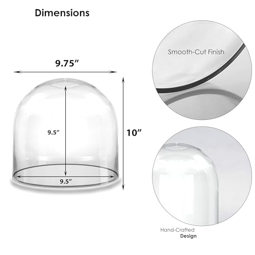 CYS EXCEL Glass Cloche Dome (H:10" D:9.75") | Multiple Sizes Decorative Showcase Display for Antique Collectibles | Bell Jar Terrarium & Dessert Cover - size: H-10" D-9.75"