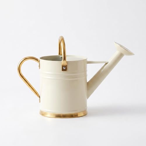 1/2 Gallon Metal Watering Can for Indoor Outdoor Plants, Stainless Steel Watering Can with Removable Spout, Embossed Design Plant Watering Device, Creamy Color Perfect for Home & Garden Decor