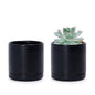D'vine Dev 2-Pack Ceramic Pots with Saucers, Black, 3.5 in, 94-V-A-2 - color: Black, size: 3.5 Inch