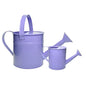 Small Metal Watering Can Set, Pink, 1.2L and 0.23L Garden Cans with Long Spout, Indoor Outdoor Plant Care (Purple) - color: Purple
