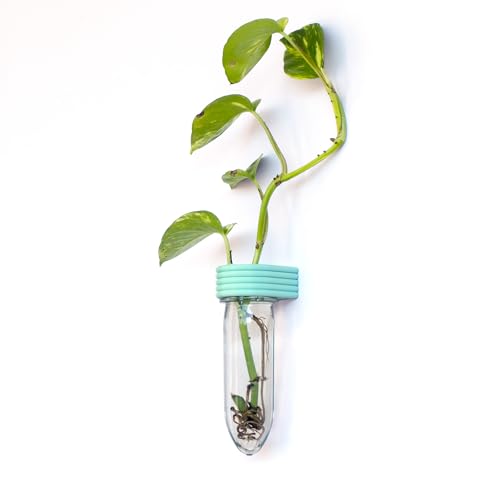 Propagation Station Wall Hanging Terrarium Upcycled 3D Printed Eco Friendly Unique Plant Lover Gift (Mint) - color: Mint